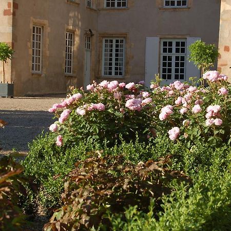 Chateau Du Riau Bed and Breakfast Villeneuve-sur-Allier Buitenkant foto