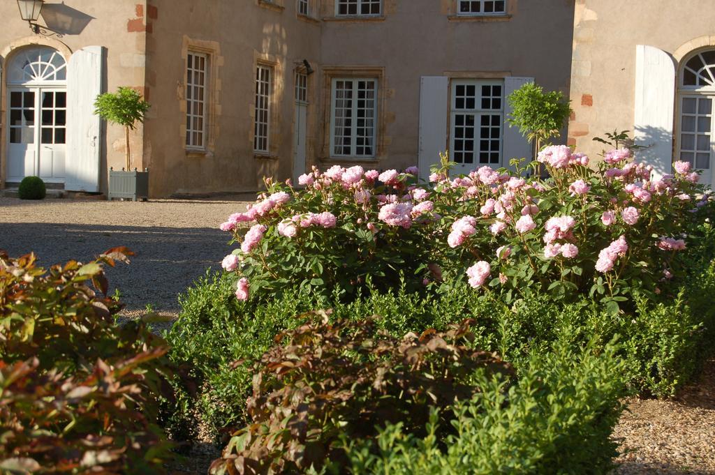 Chateau Du Riau Bed and Breakfast Villeneuve-sur-Allier Buitenkant foto