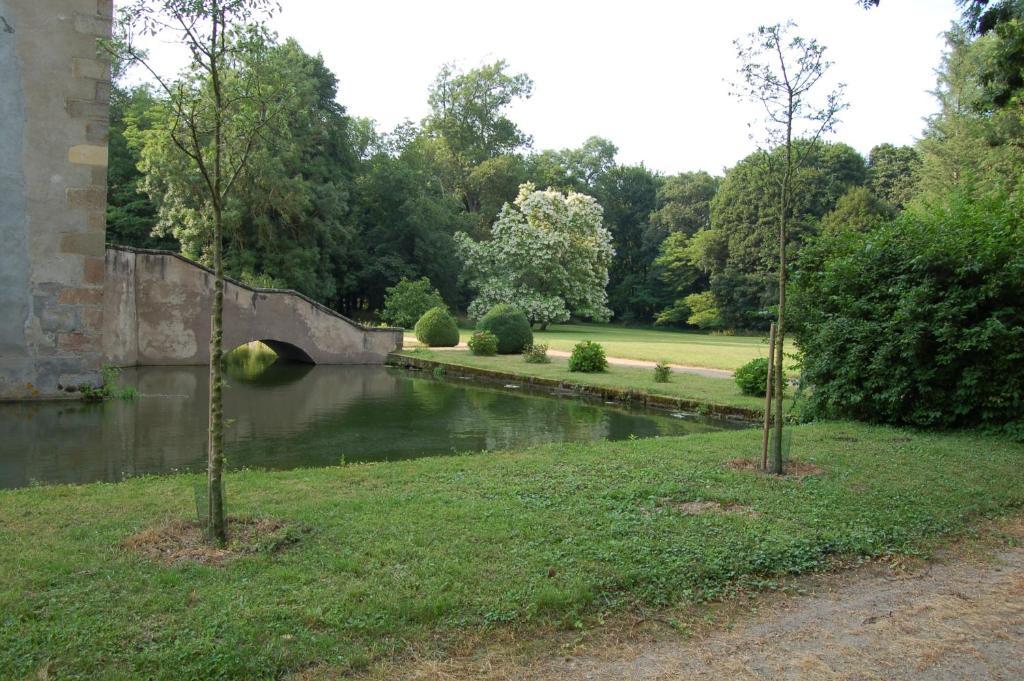 Chateau Du Riau Bed and Breakfast Villeneuve-sur-Allier Buitenkant foto