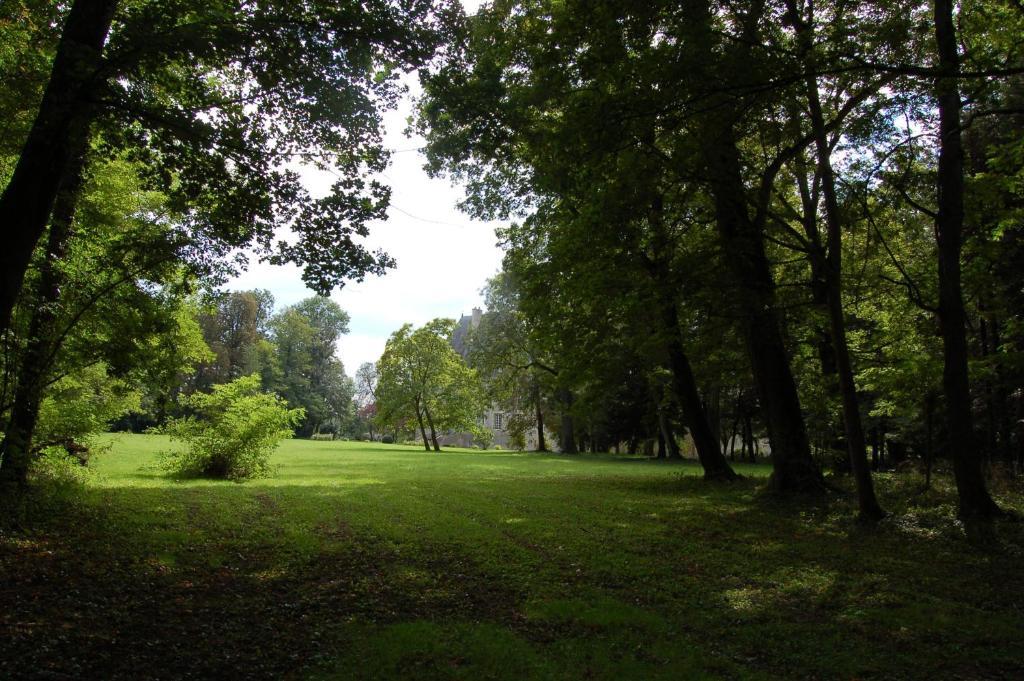 Chateau Du Riau Bed and Breakfast Villeneuve-sur-Allier Buitenkant foto
